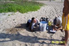 digging-up-sea-turtle-eggs-1